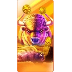 Buffalo
King